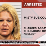 Tennessee woman mugshot
